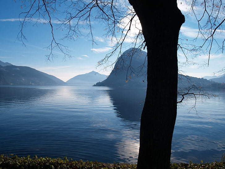 San salvatore, tó, Ceresio, Lugano, táj, fa, törzs