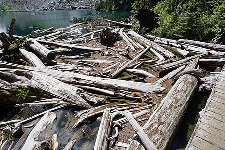 legno, registri, caduto, taglio, legname, tronco, legno - materiale