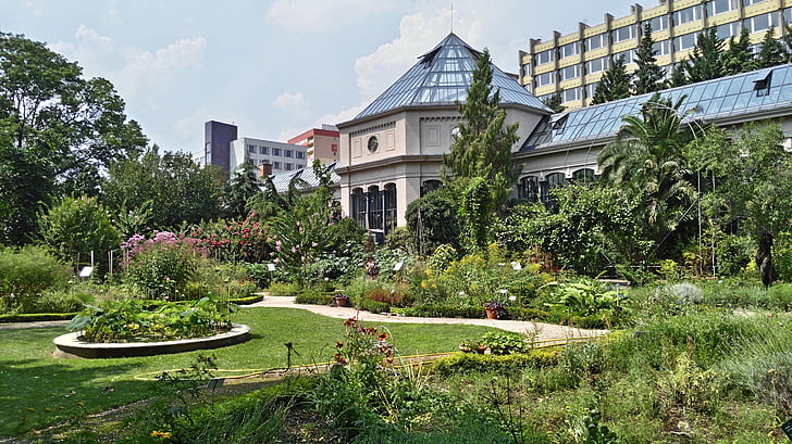 Jardin des plantes, Budapest, trädgård