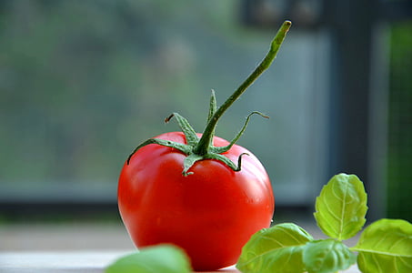 bazalka, paradajka, rastlinné, červená, jedlo, sviežosť, organické