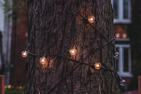 Vianoce, svetlá, drôt, strom, drevo, mimo, dekorácie