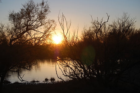 Západ slunce, Marsh, tmavý, Příroda, jezero, strom, venku