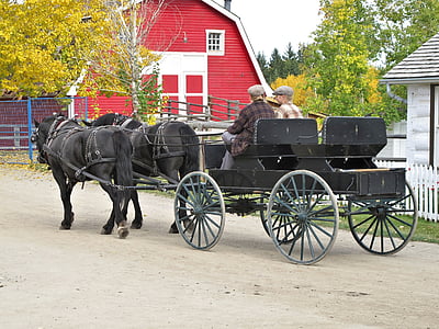 arklys vežimas, arkliai, parkas, Alberta, Kanada, arklys, horsedrawn