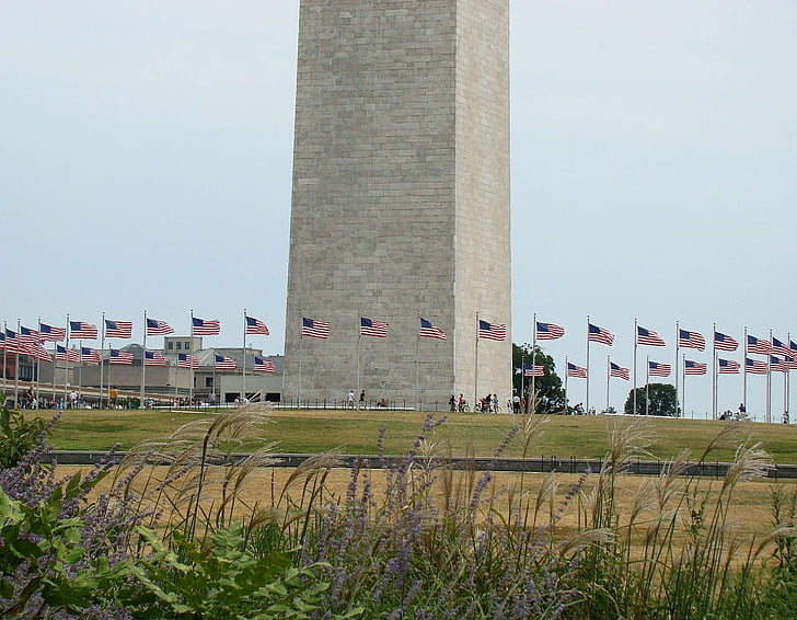 vėliavos, paminklas, Vašingtonas, gėlės, žmonės, pastatas, dangus