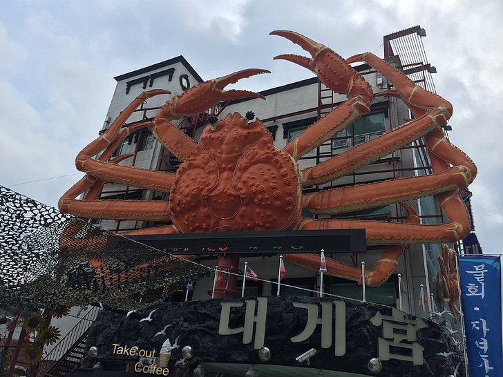 Snow crab, vanligvis eugene, disse eugene, Sør-korea til eugene