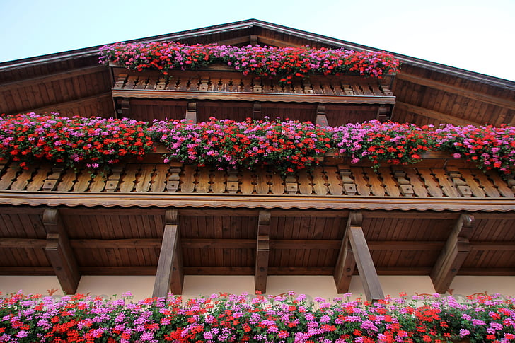 fachwerkhaus, Tyrol, pot bunga, kayu