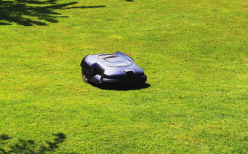 rush, maintained, lawn mower, robot, sunny