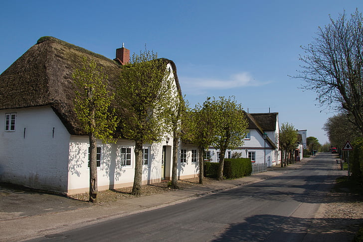 friesenhaus, mái nhà tranh, đảo Föhr, biển Wadden, Nordfriesland