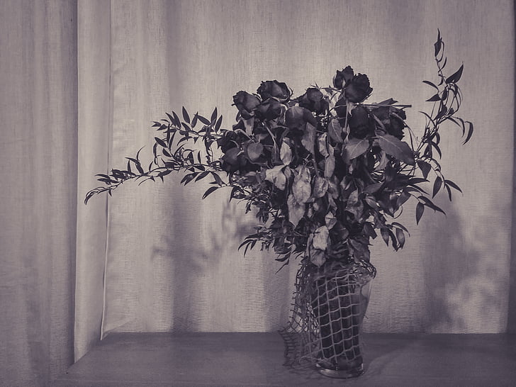 roses, flowers, black and white, table, bouquet, dead, vase