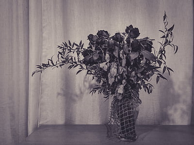 roser, blomster, sort og hvid, tabel, buket, døde, vase