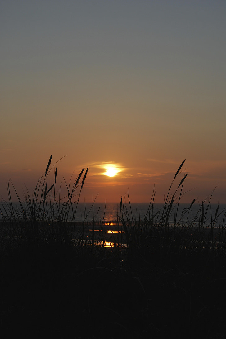 Saulėlydis, jūra, Wangerooge, žolės, dangus