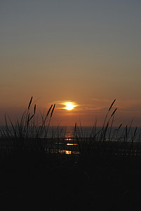 sunset, sea, wangerooge, grasses, sky
