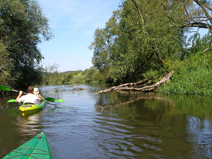 Drwęca, rivière, kayaks, rafting, Pologne, kajakować, paysage