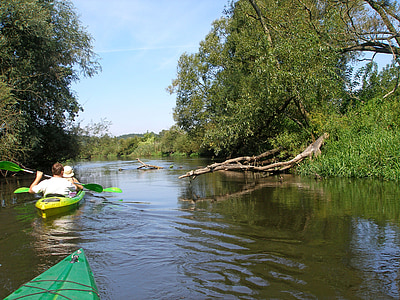 drwęca, แม่น้ำ, เรือคายัค, ล่องแก่ง, โปแลนด์, kajakować, ภูมิทัศน์