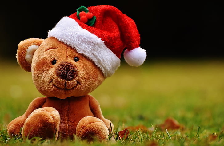 jul, Teddy, tøjdyr, Santa hat, Sjov, bamse, gave