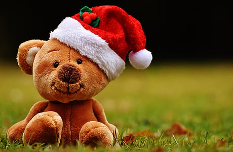 Karácsony, Maci, puha játék, Santa kalap, vicces, mackó, ajándék