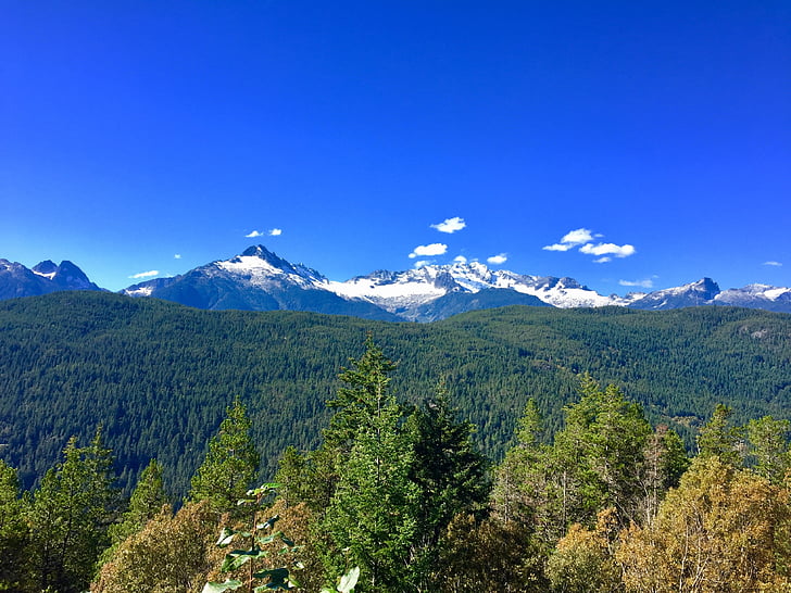 montagne, Forest, nature sauvage, Canada, Whistler, Colombie-Britannique, paysage
