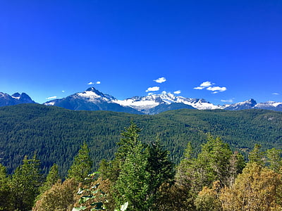 dağ, Orman, vahşi hayat, Kanada, Whistler, Britanya Kolumbiyası, sahne