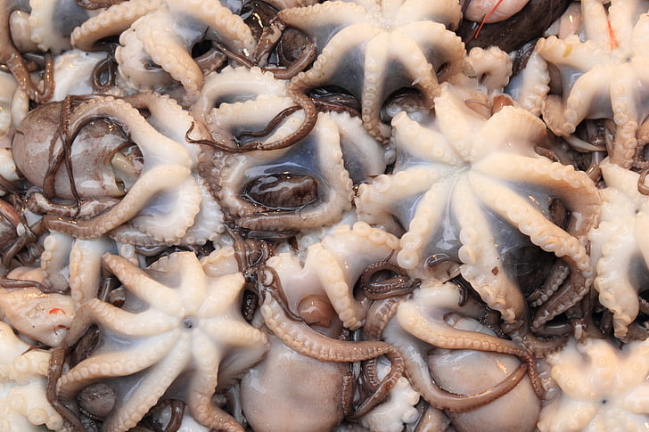 Italië, Octopus, Napels, voedsel, leverancier, schaal-en schelpdieren, markt
