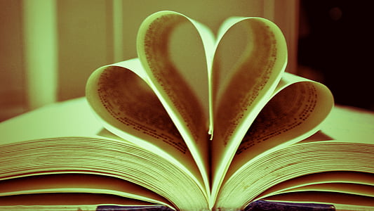 llibre, cor, l'amor