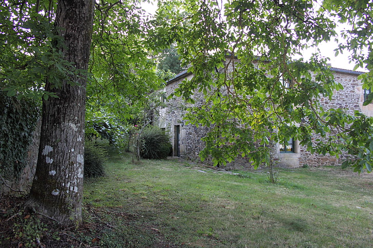 kuća, krajolik, Galicia, drvo