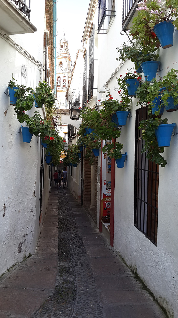 Mijas, bacs à fleurs, ruelle, Espagne, pittoresque
