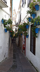 Mijas, çiçek kutuları, sokak, İspanya, şirin