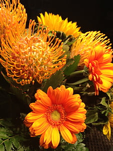 flower, yellow, gerbera, plant, flowers, posy, bouquet of flowers