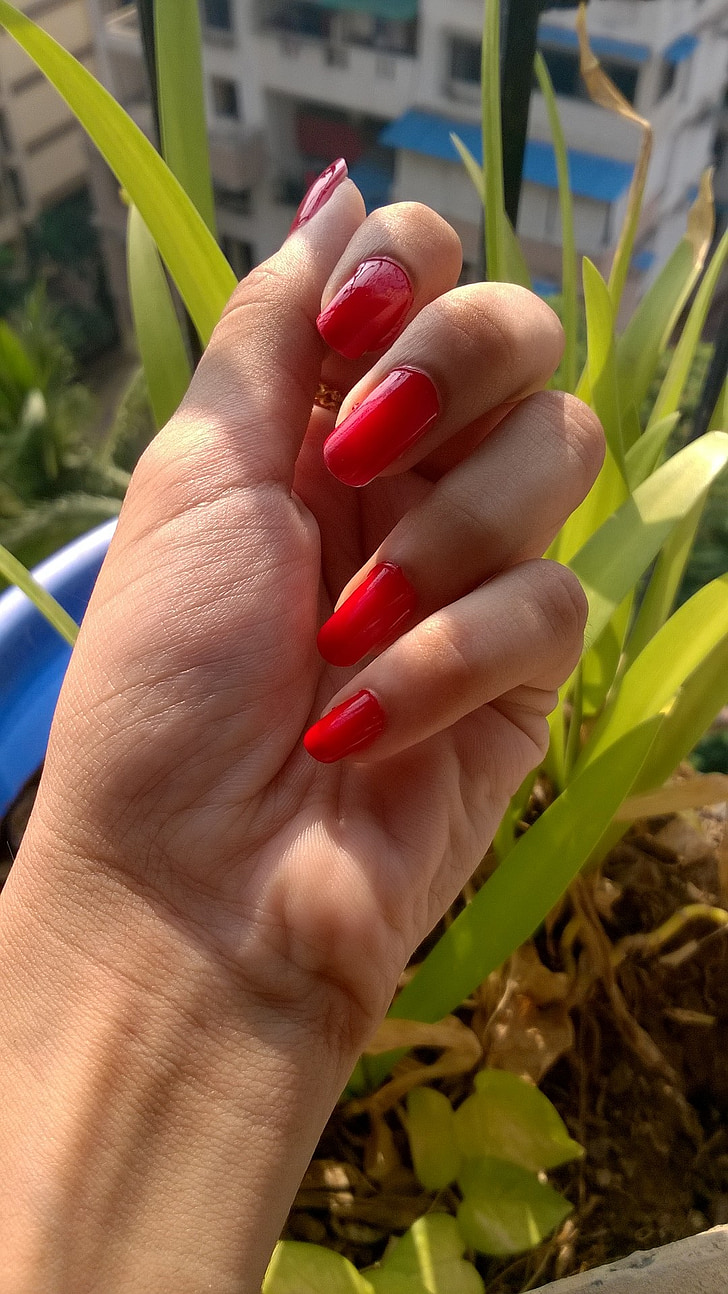 nail, paint, red, female, fashion, design