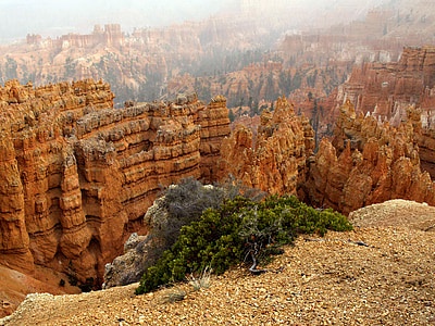 Bryce canyon, nationaal park, Utah, Verenigde Staten, erosie, het westen, pinakels