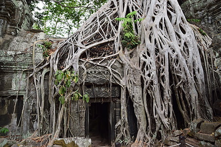Ιντιάνα Τζόουνς, Lara croft, Ναοί, Καμπότζη, Angkor, θρησκευτικά, ερείπια