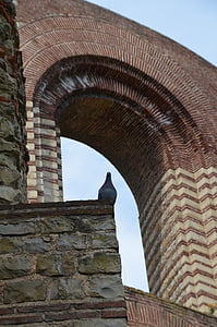 Trier, Kaiser-Begriffe, Ruine, Taube