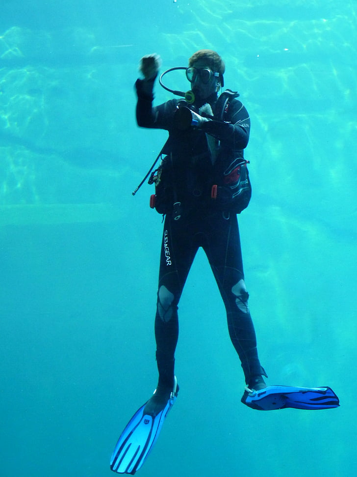 divers, diving suit, fins, underwater