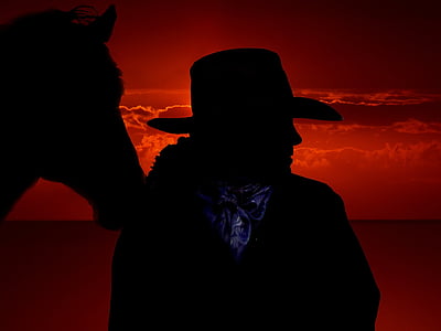 häst, Cowboy, väst, rida, USA, vilda västern, siluett