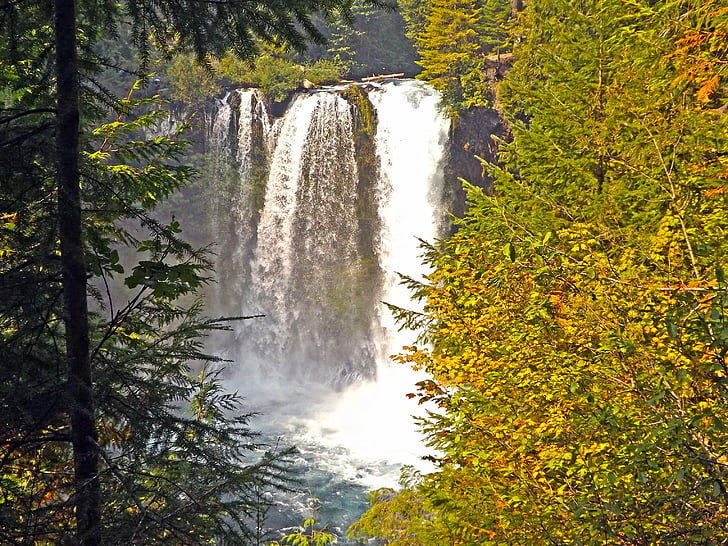 wodospady, McKenzie rzeki, Oregon, krajobraz, Natura, Rzeka, wody