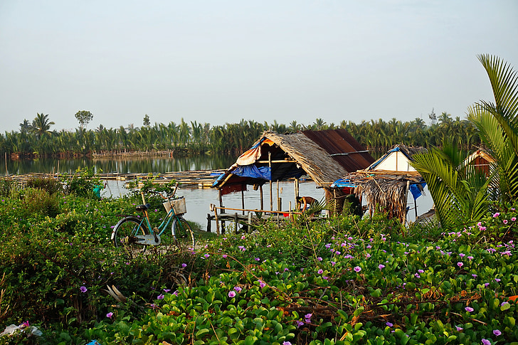 tropen, landschap, Shack, huis, Home, palmbomen, Lake