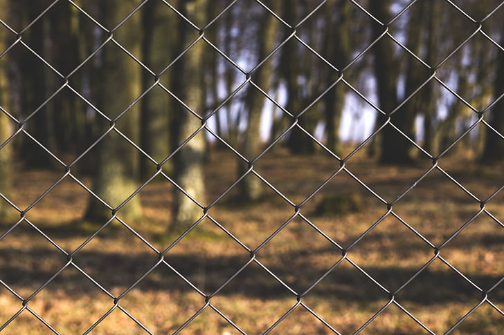 chain-link, close-up, fence, forest, trees