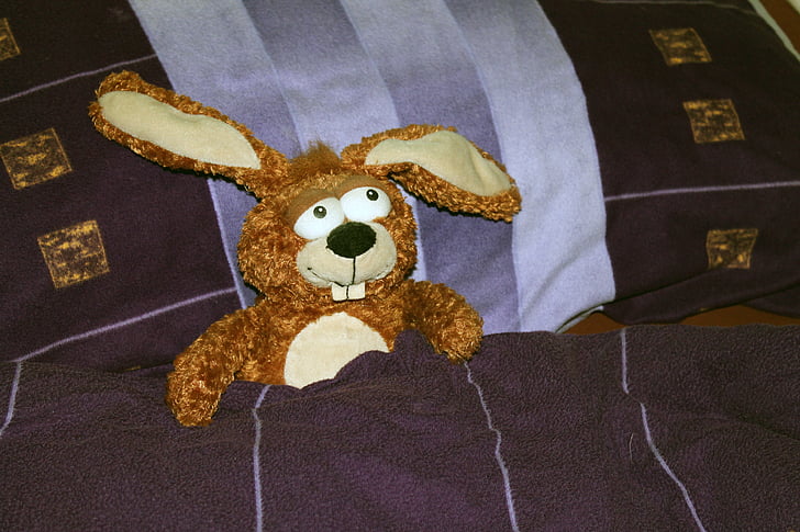 stuffed animal, cuddly, soft, children toys, teddy bear, sleep, bed