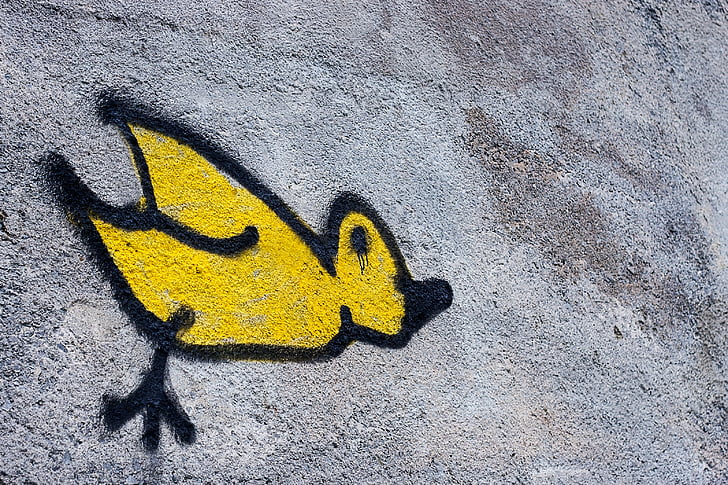 bird, yellow, drawing, painting, wall, art, outdoors
