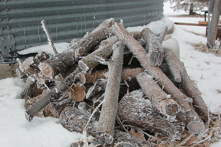 firewood, frost, woodpile