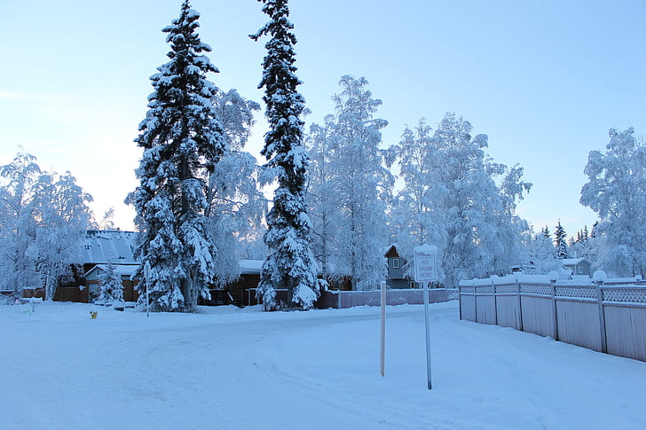 salju, putih, dingin, musim dingin, Street, tanda, embun beku
