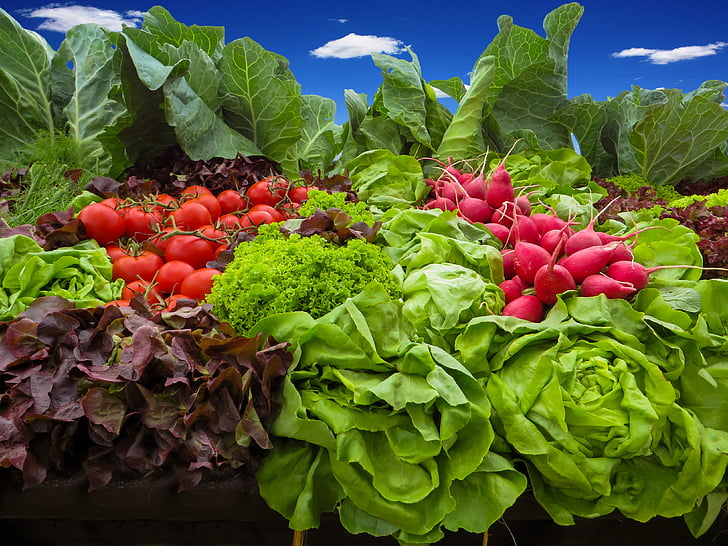 vegetables, tomatoes, radishes, salad, food, garden, eat