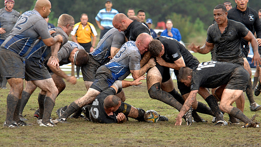 rugby, football, sport, game, teams, athletes, field