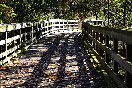 fall, wooden bridge, nature, scenic, leaves, bridge, footpath