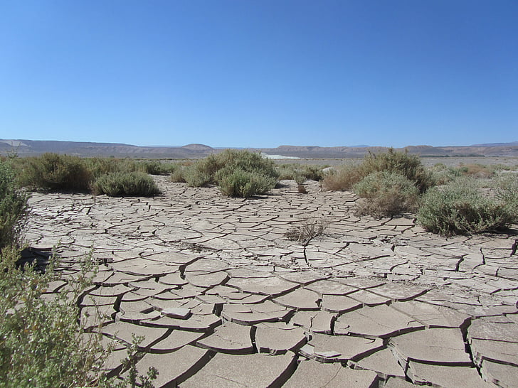 Atacama, poušť, obloha, suché, horká, praskliny, mnohoúhelníky