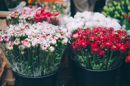 ūkininkų rinkoje, gėlės, floristas, pavasarį, Sodininkystė, gėlė, augalų