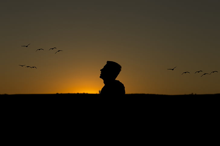 día, puesta de sol, aves, silueta, hombre, sólo, pájaro