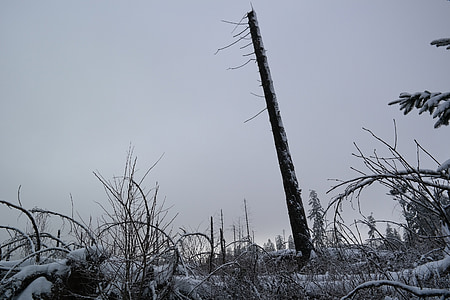 Sauerland, Hill, Kyrill elérési útja, téli, fák, hó