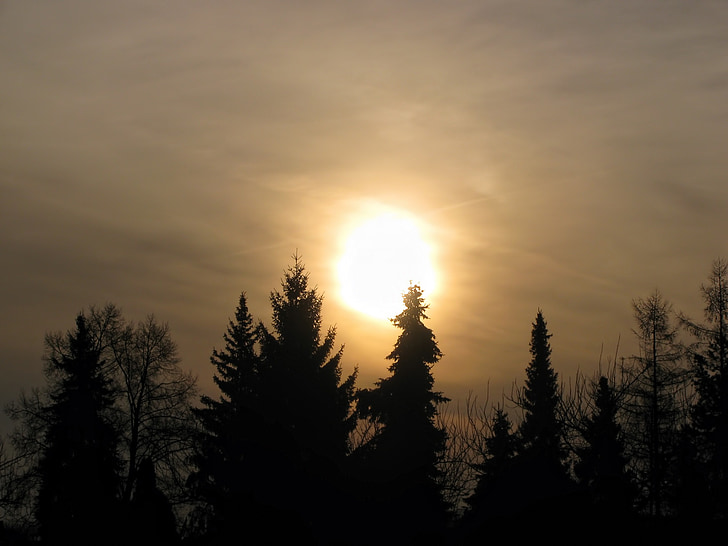 sunrise, sun, sky, morning, trees, silhouette