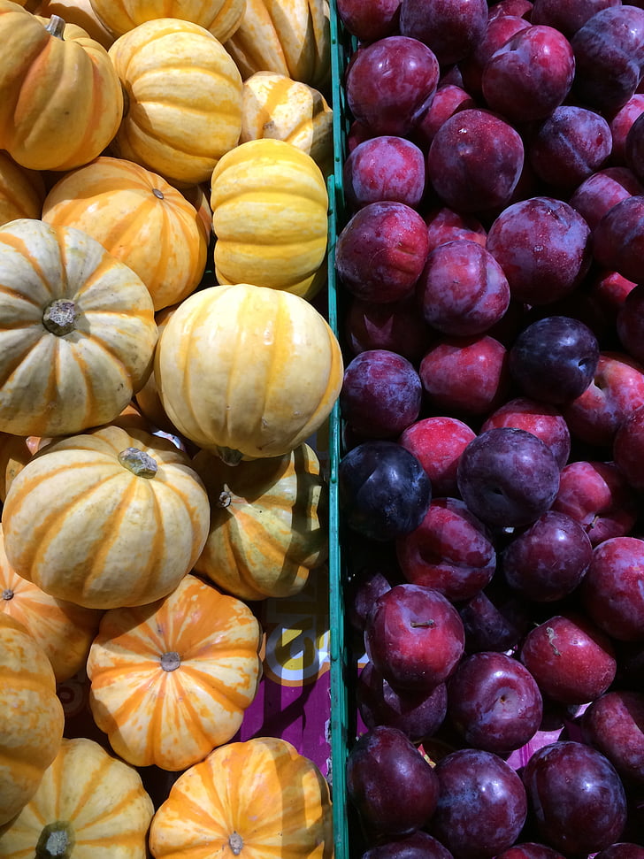 fruit, vegetable, pumpkin, plum, food, autumn, freshness